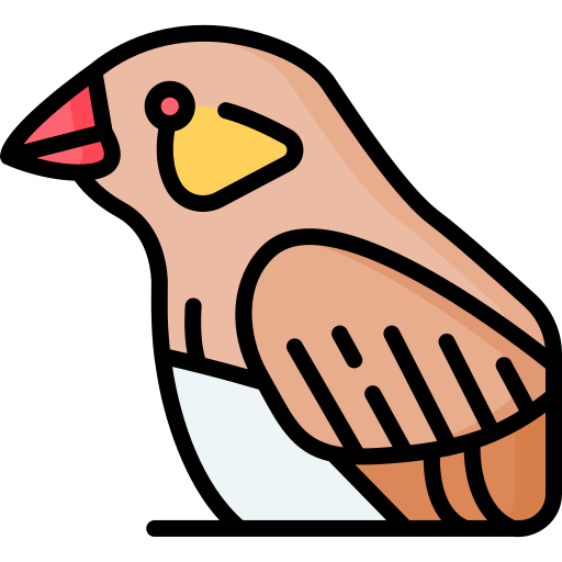 category icon